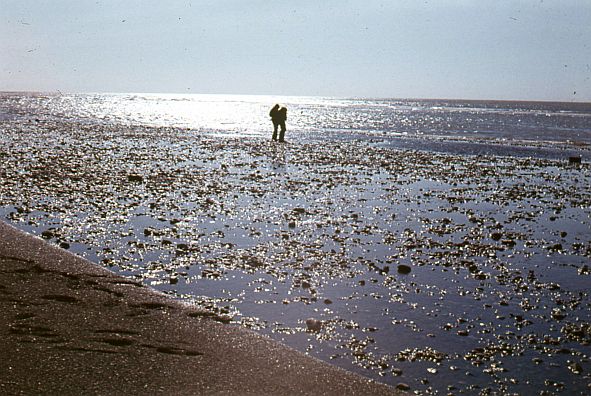 Камчатка, 1973 год: берег Охотского моря вблизи посёлка Палана